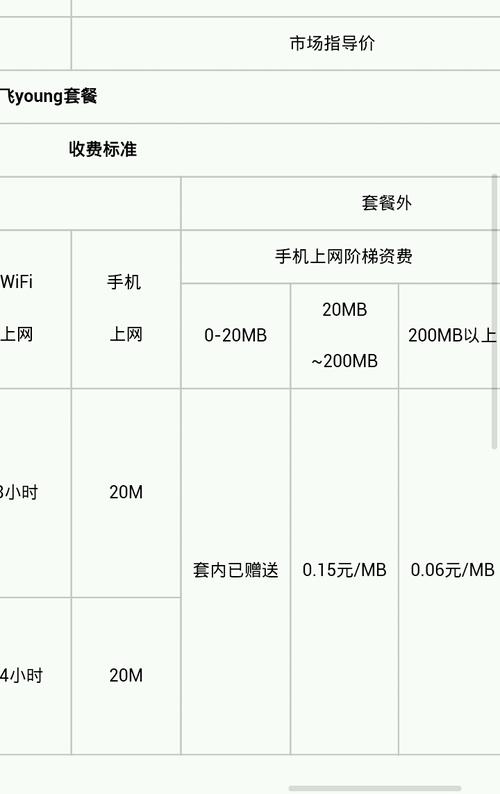 服务器及网络流量费用究竟指什么?