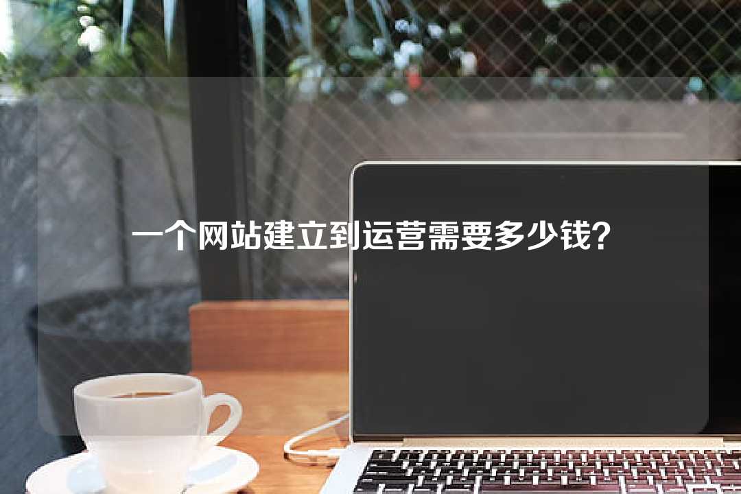 一个网站建立到运营需要多少钱?
